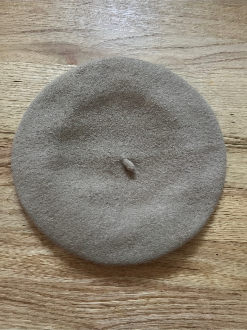 Madewell Taupe Wool Beret